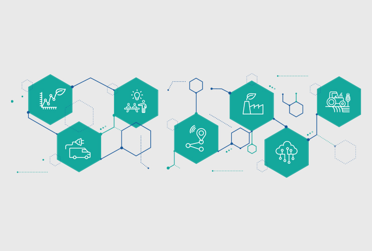 Grafik für Lieberkettenkordination